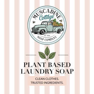 Laundry Soap | Vegan